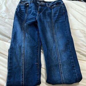 Judy Blue skinny jeans